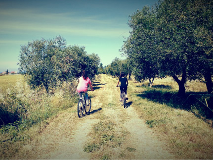 Visite guidate