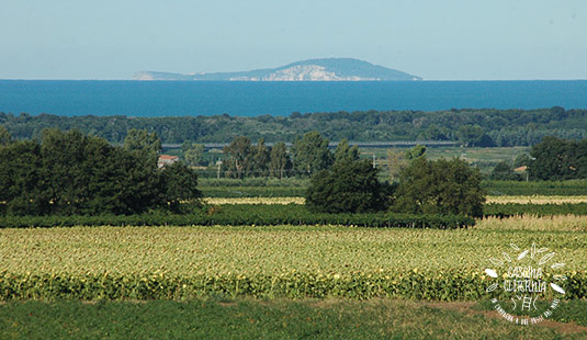 Vista Isole Tremiti