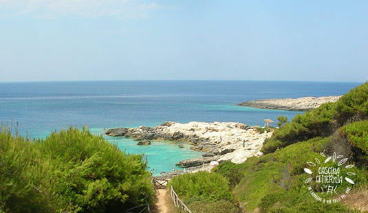 Isole Tremiti