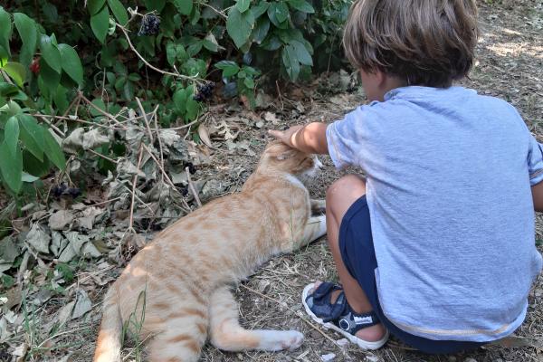 Damiano e Buddy