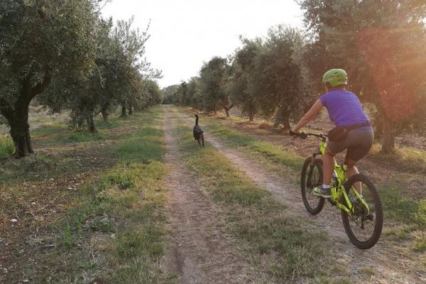 In bici sul nostro viale